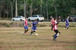 99468_0.jpg