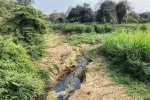 106415_0.jpg