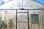 S__11059543_0.jpg