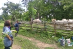 S__11305013_0.jpg