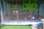 S__11198496_0.jpg