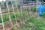 S__11198502_0.jpg